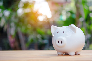 White piggy bank on wooden table with blurred garden background and warm sunlight, savings concept © Achira22