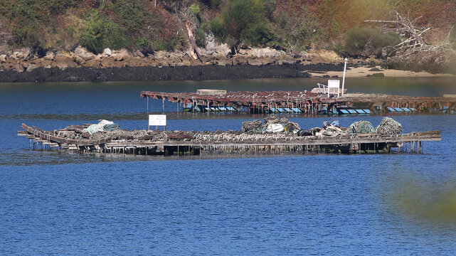 Bateas en la r&iacute;a de Vigo, Pontevedra, Galicia, Espa&ntilde;a
