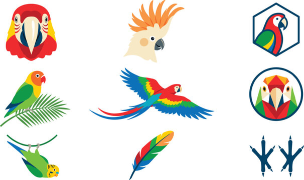 Colorful Parrot and Tropical Bird Vector Collection Featuring Macaw, Cockatoo, Lovebird, Geometric Mascots, and Exotic Avian Illustrations