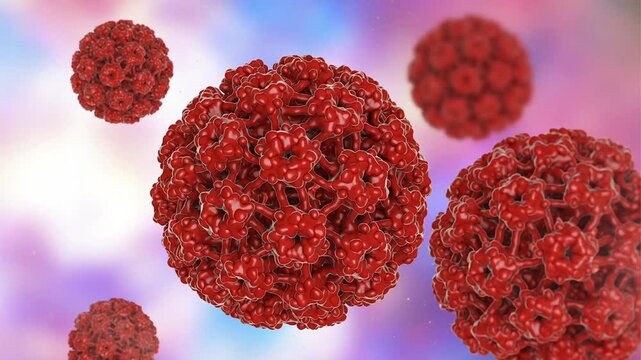 Human papillomavirus particles shown in 3D animation, non-enveloped DNA virions associated with HPV infection and cervical cancer in humans.