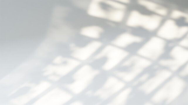 Sunlight casting a shadow from a window and leaves on a neutral white background
