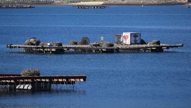 Bateas en la r&iacute;a de Vigo, Pontevedra, Galicia, Espa&ntilde;a