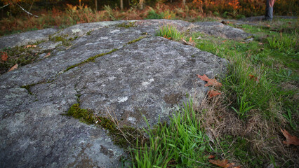 Petroglifos Poza da Lagoa, Redondela, Pontevedra, Galicia, España © IVÁN VIEITO GARCÍA