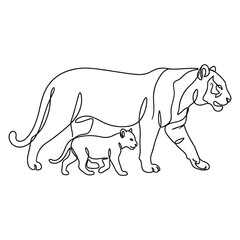 Fototapeta premium Tiger mother walking with her cub continuous line art