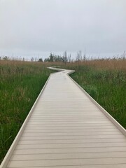 Fototapeta premium boardwalk trail through a wetland area