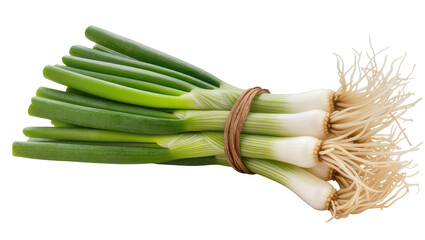 Bunch of fresh green onions with roots tied with twine © Maria