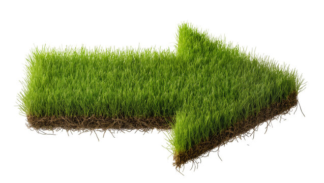 Green grass arrow shape with soil and roots
