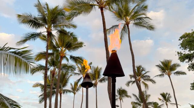 Looking up at tiki torches with flames and coconut fronds in background at sunset