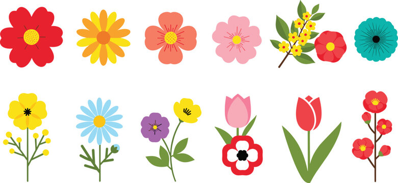 Colorful floral collection vector illustration featuring blooming flowers tulips botanical elements and decorative spring garden designs