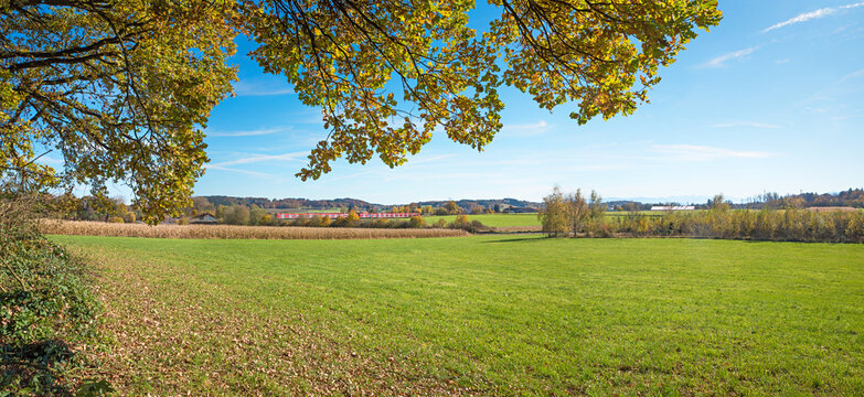 View from the edge of the forest south of Ebersberg.  train to Grafing; autumn landscape.