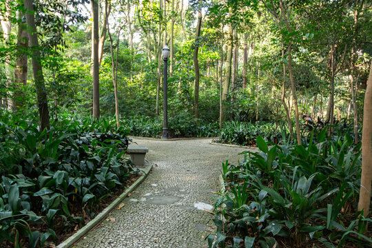 S&atilde;o Paulo, SP, Brazil - April 21st, 2026: The tranquility of Tenente Siqueira Campos Park, also known as Trianon Park on Paulista Avenue, with its walkways paved with Portuguese stone.