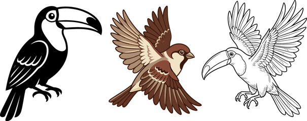 Obraz premium Bird Vector Graphic Set Featuring Silhouette Toucan Color Sparrow and Detailed Line Art Flying Toucan Isolated on White Background for Diverse Creative Media Designs