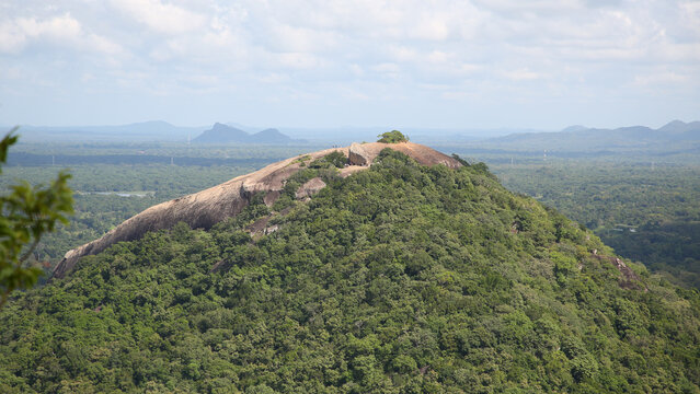 Roca Pidurangala desde el Complejo Arqueol&oacute;gico de Sirigiya s.V, Matale (Sri Lanka)