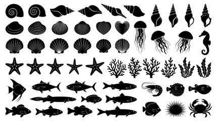 Collection of diverse marine life silhouettes featuring various seashells tropical fish starfish jellyfish and coral reef elements for creative projects © Vectscape