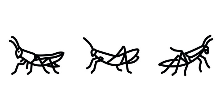 grasshopper outline or line icon design bundle.