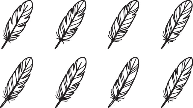 Eight black and white feather on a clean background, also transparent background, line pattern minimalist