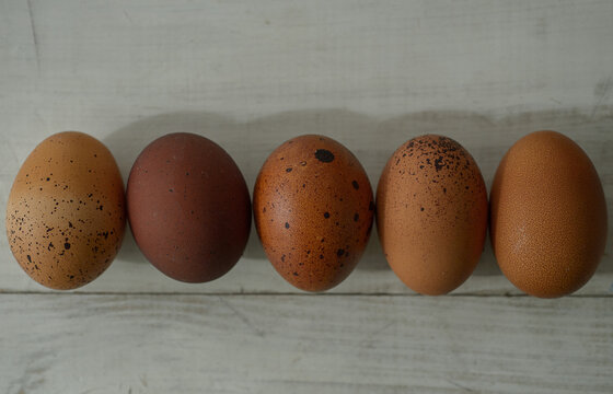 Eggs