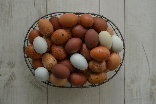 Eggs