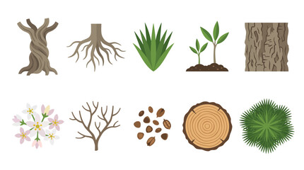 Vector illustration of plant life cycle, from seed to mature tree, including elements like roots, bark, flowers, and log, representing growth and food sources © Nurul