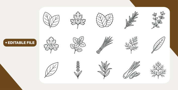 Herb icons labeled with names arranged in grid layout