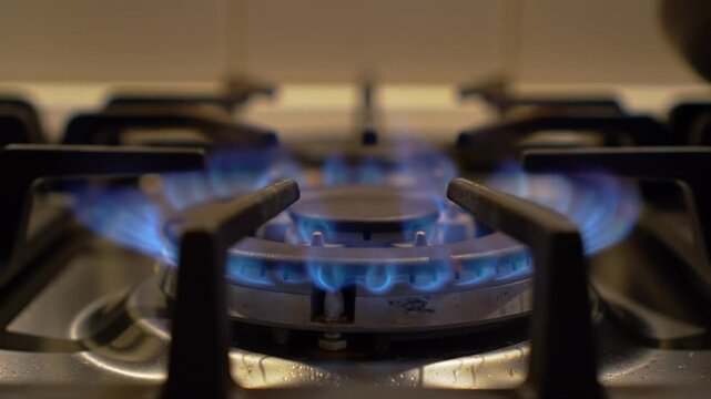 Blue gas stove flames burning on a kitchen burner.