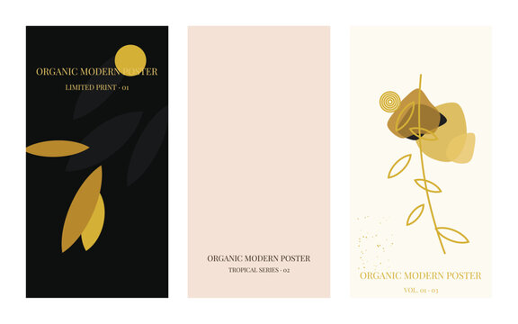 Set of three modern organic posters with abstract floral and geometric shapes vector illustration