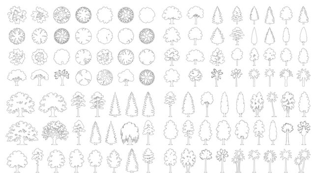 CAD trees line drawing collection, top view and side view outline tree symbols for architecture landscape design site plan vector illustration
