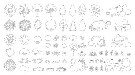 CAD landscape plants line drawing set, top view and side view trees shrubs grass flowers symbols for architecture garden design site plan vector illustration © Rumelaz