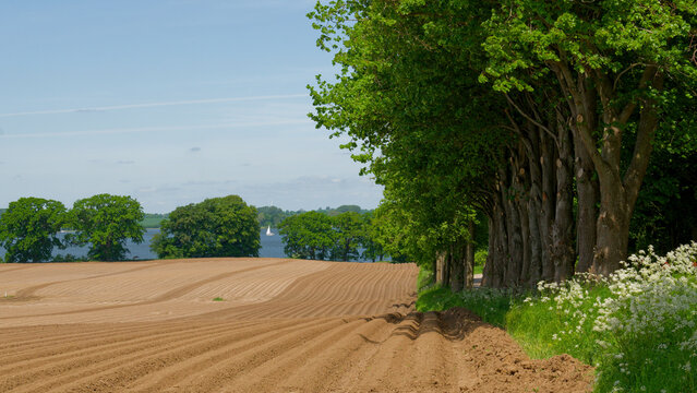 Landschaft an der Schlei