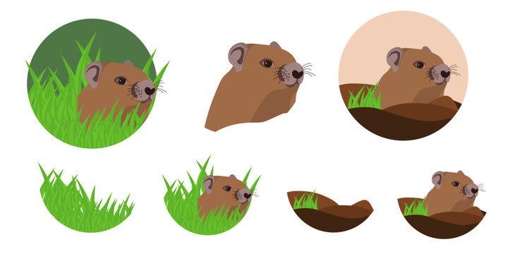 Vector flat illustration set of a cute groundhog waking up for Groundhog Day