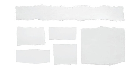 Fototapeta premium Set of various white torn paper pieces with rough ragged edges for design elements