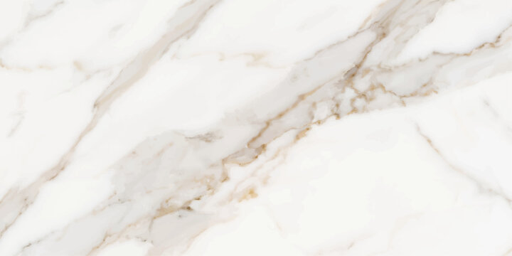 Close up view of milk and white sugar with natural food ingredients for cooking and baking on a clean surface