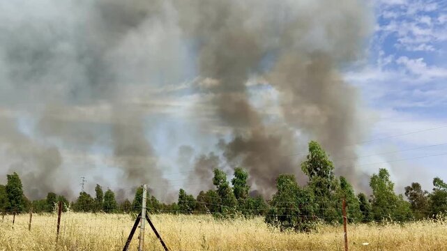 Gran columna de humo en incendio forestal activo