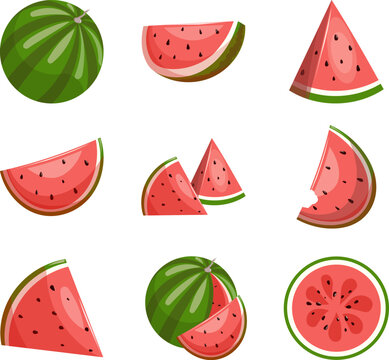 Watermelon Vector Illustration Set with whole and slised fruits, summer food collections. Cute watermelon clipart bundle. Bright red and green fruit icons