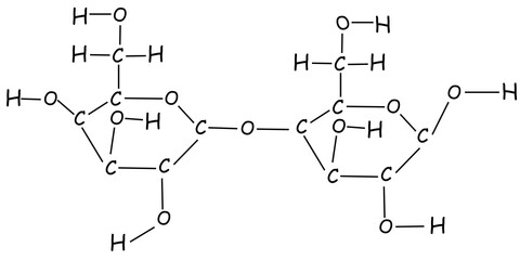 Fototapeta premium drawing of a lactose molecule