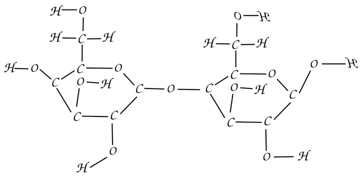 drawing of a lactose molecule