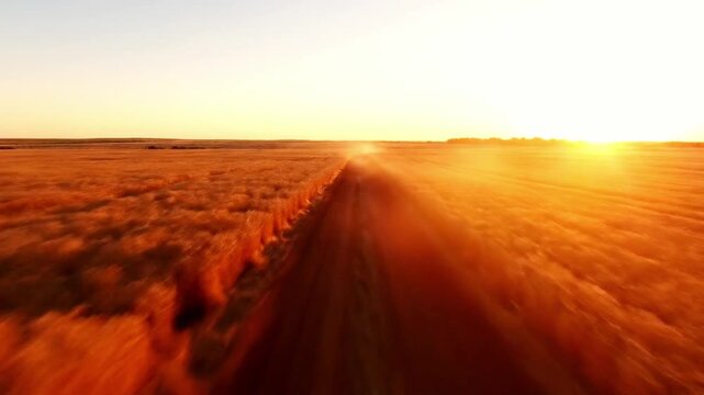 Drone shot of narrow dusty dirt road weaving through vast golden‑brown dried wheat fields stretching endlessly across the horizon.