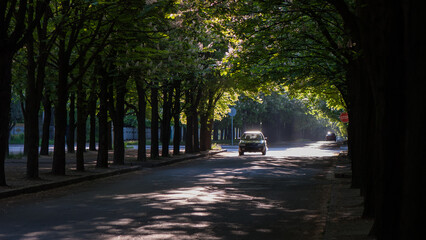 Naklejka premium Vintage car on a city street with blooming chestnut trees on a sunny morning web banner.