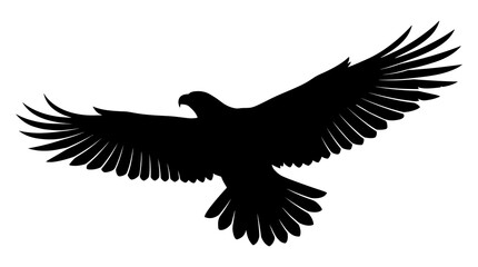 Fototapeta premium Silhouette of a majestic eagle in flight with wings spread wide against a white background