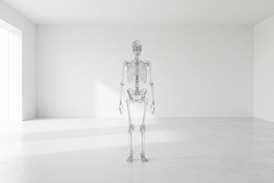 Transparent Skeleton Standing in Empty White Room