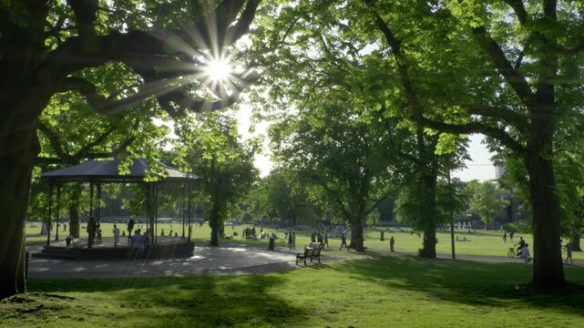 Golden Hour Sunburst through Trees at Cannon Hill Park, Birmingham, UK.
A peaceful wide-angle shot of a summer evening in Birmingham's Cannon Hill Park.