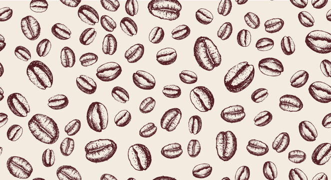 Coffee beans hand drawn on white	
