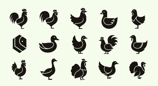 Farm Poultry Icons: Rooster, Hen, Duck, Goose, Turkey Silhouettes Collection