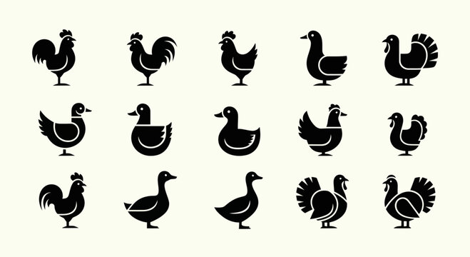 Farm Poultry Icons: Rooster, Chicken, Duck, Turkey Silhouettes on White Background