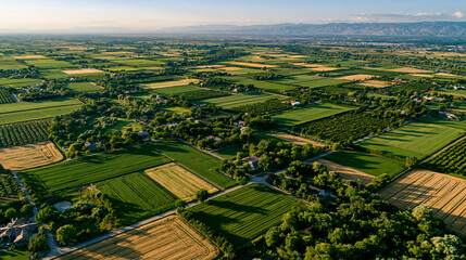 Fototapeta premium Vast green fields and orchards in a rural landscape at sunset