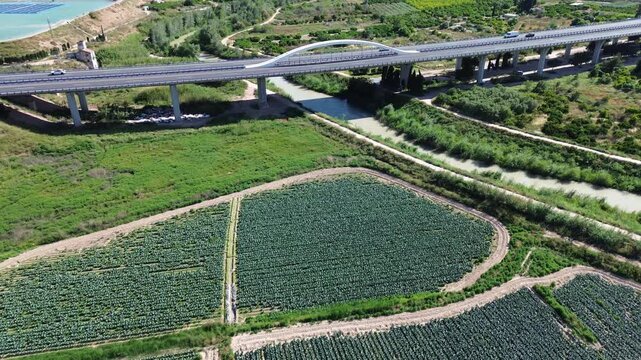 Aerial view of a modern concrete highway bridge crossing over lush green agricultural crop fields and a river highlighting the environmental impact of logistics and urban development on nature rural
