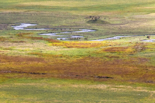 Phobjikha Tal Bhutan