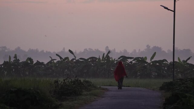 Bogura, Bangladesh - 17 May 2026: View of a woman in a red shawl walking along a rural road past banana plantations under a misty dawn sky.