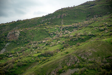 Fototapeta premium landscape in the mountains of crimea
