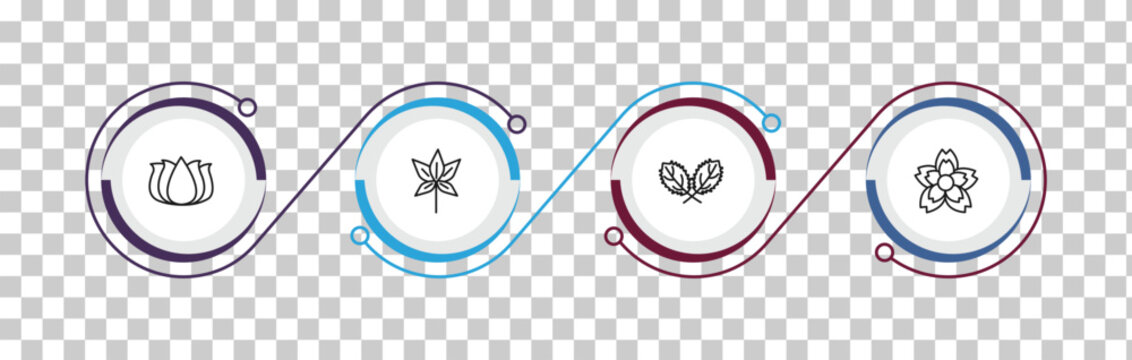 outline nature icons set - beautiful lotus flower, chestnut leaf, straberry leaf, knapweed. editable vector for web and mobile ui